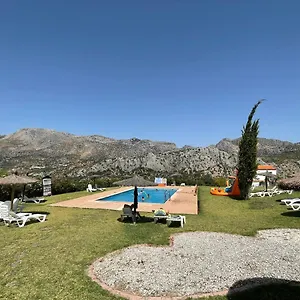 Cedro Alto Benaoján